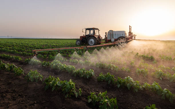 Best Commercial Pest Control Services  in Northfield, NJ