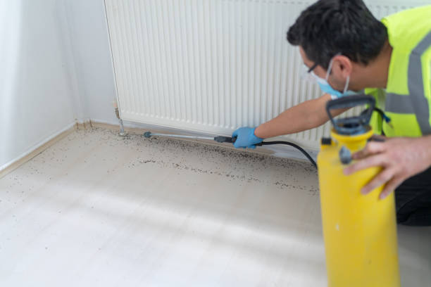 Best Best Pest Control Companies  in Northfield, NJ